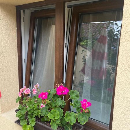 Kerti Franciaagyas Apartman Vác Екстериор снимка